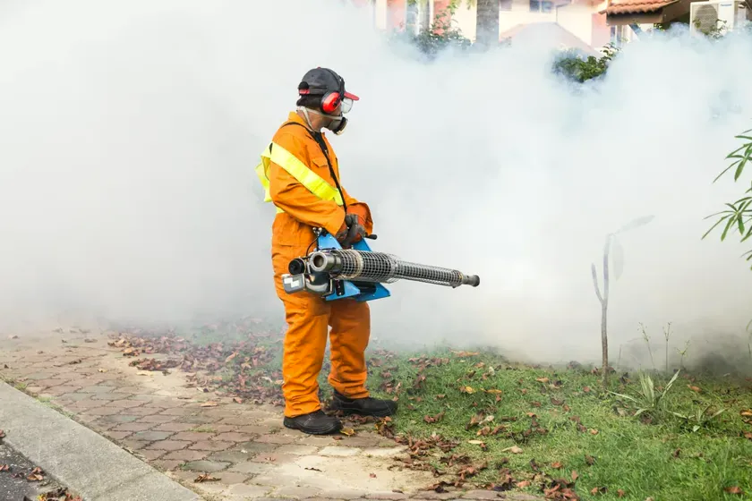 Control del mosquito tigre en Terrassa — BioCare