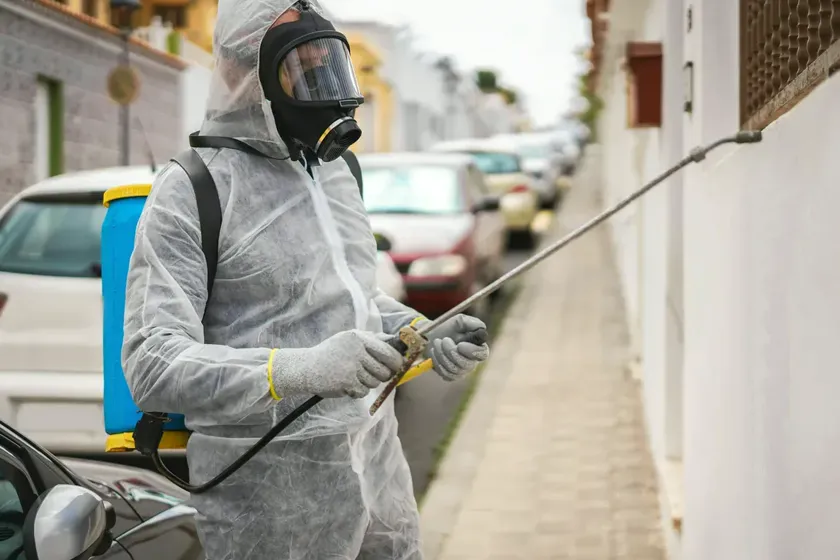 Tratamiento de hormigas en Terrassa — BioCare
