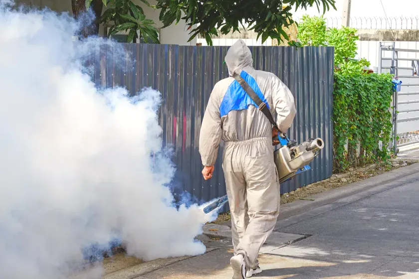 Tratamiento de mosquitos en Terrassa — BioCare